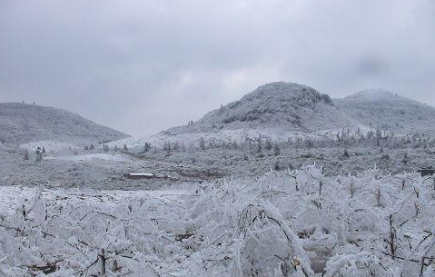 2008年雪灾多恐怖 2008大雪灾诡异的原因