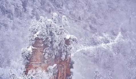 张家界天门山每年都下雪吗2024 张家界天门山上多少度会下雪