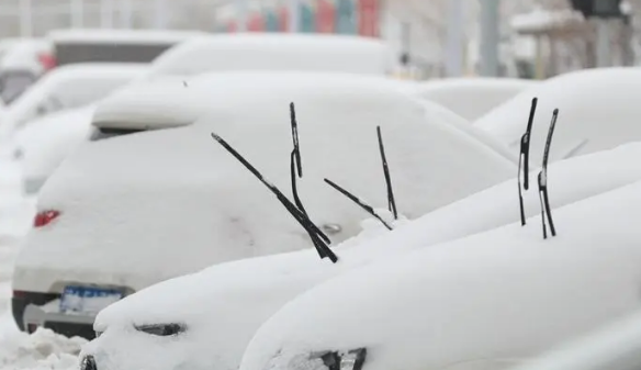 哈尔滨2024年元旦会下雪吗 元旦去哈尔滨看雪哪最合适